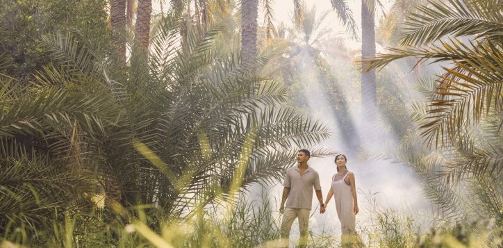 exploring-al-ain-oasis-copy-2