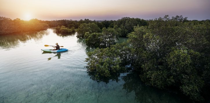 kayaking-at-jubail-mangrove-park_-copy-2