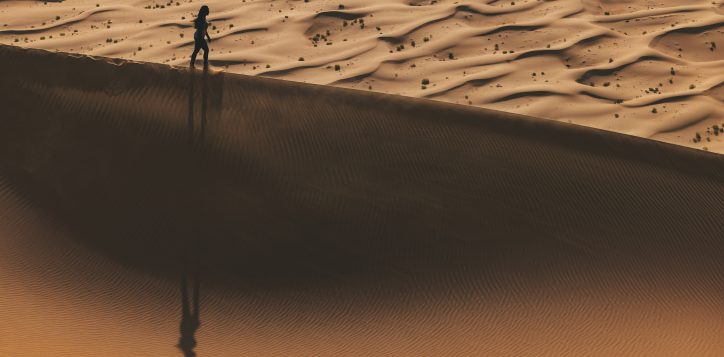 liwa-desert-copy-2