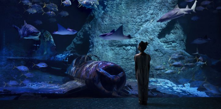 the-national-aquarium_-copy-2